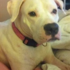 Meet your Posher, Wanda